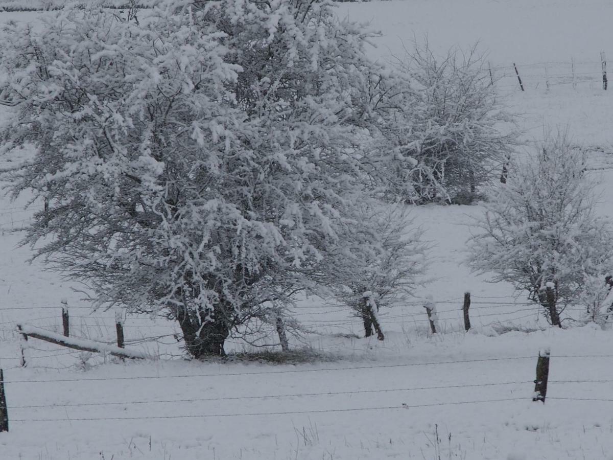 B&B La Chabetaine Morhet Dış mekan fotoğraf