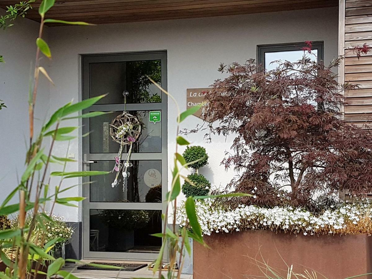 B&B La Chabetaine Morhet Dış mekan fotoğraf